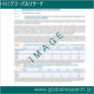 グローバルリサーチ調査レポートのイメージ